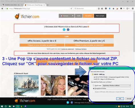 1fichier.com.