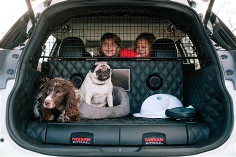 4dogs.