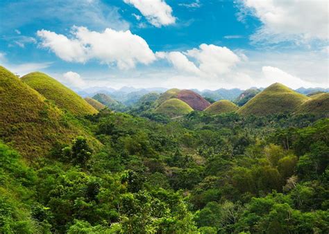 Bohol.