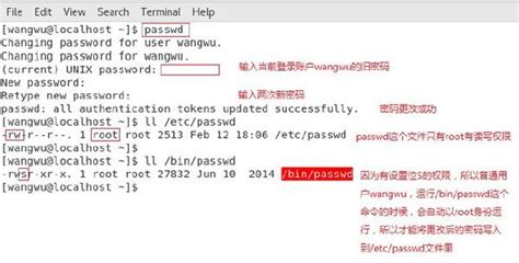 Linux权限管理.
