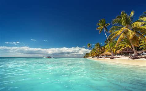 Punta.