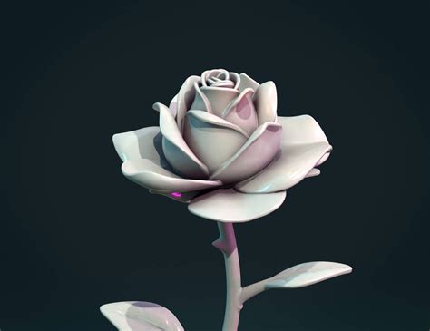 Rose.