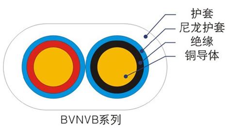 bvnvb.