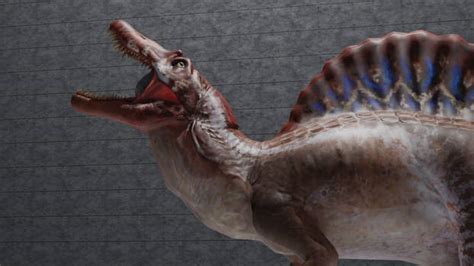 spino247.