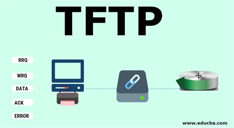 ttfyp
